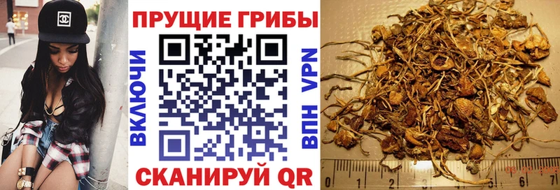 Галлюциногенные грибы Cubensis  закладки  Джанкой 